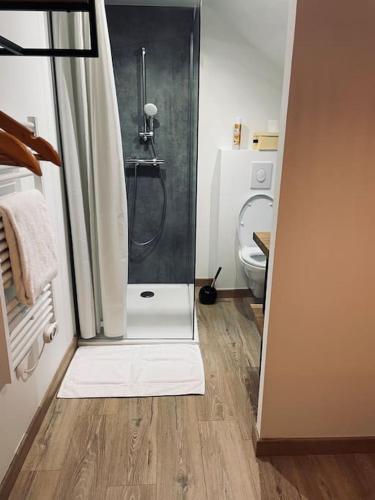 uma casa de banho com um chuveiro e um WC. em Bryas 3 - Appartement très chaleureux em Châteauroux
