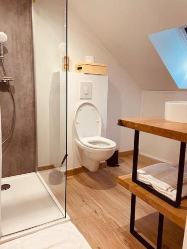 La salle de bains est pourvue de toilettes et d'une douche en verre. dans l'établissement Bryas 3 - Appartement très chaleureux, à Châteauroux