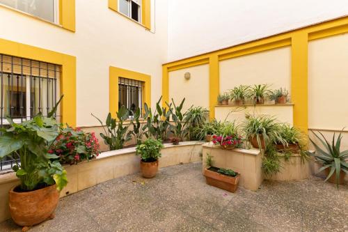 Ohliving Triana