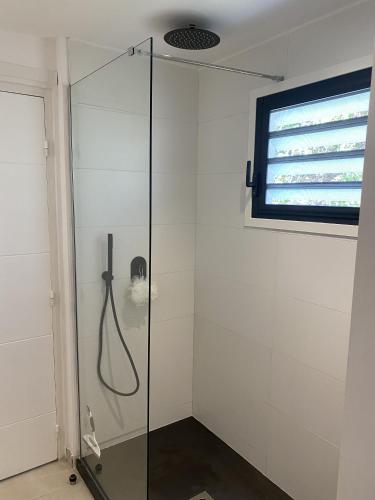 a shower with a glass door in a bathroom at Cottage Cosy Duplex Anse Marcel, Vue mer et marina in Anse Marcel 