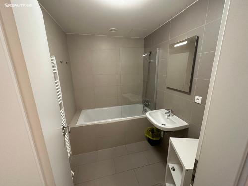 La salle de bains est pourvue d'une baignoire et d'un lavabo. dans l'établissement Máchovo jezero apartmán J&J, à Doksy