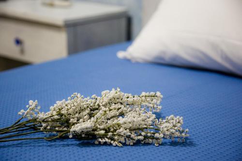 Ένα ή περισσότερα κρεβάτια σε δωμάτιο στο Vassos Apartments