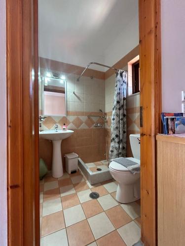 y baño con aseo, lavabo y ducha. en Dimitra Rooms en Lefkada
