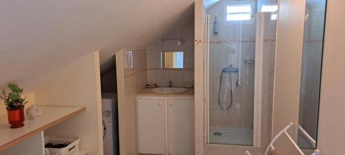 a bathroom with a shower and a sink at Logement spacieux deux pièces à Baie Mahault in Baie-Mahault