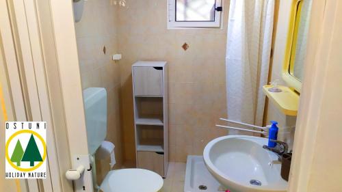 a small bathroom with a sink and a toilet at Ostuni holiday nature in Ostuni