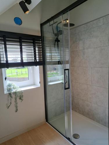 La salle de bains est pourvue d'une douche en verre et d'une fenêtre. dans l'établissement Vakantiehuisje Fie, à Dilsen-Stokkem