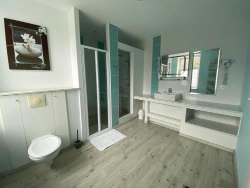 uma casa de banho com um WC, um lavatório e um espelho. em HOTEL L'AMERIVIERE*** em Aubrives