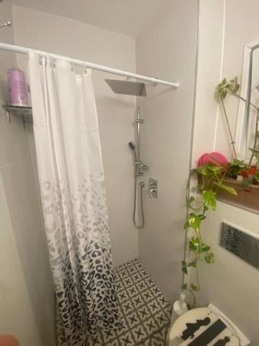 łazienka z zasłoną prysznicową i toaletą w obiekcie Sarin room w mieście Yehud