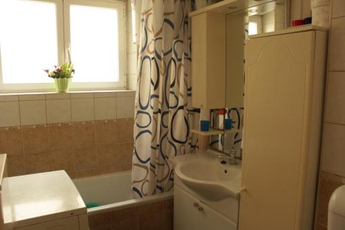 łazienka z umywalką i zasłoną prysznicową w obiekcie Apartment Vita w Korčuli
