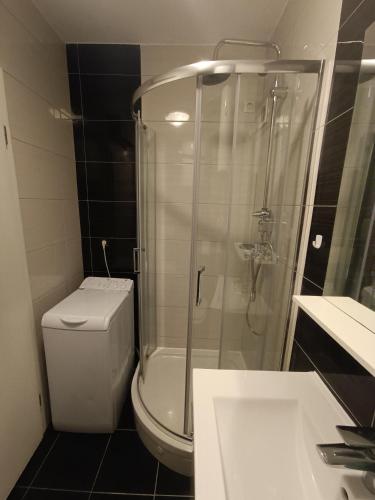 ein Bad mit einer Dusche, einem WC und einem Waschbecken in der Unterkunft Apartman A&D in Ljubuški