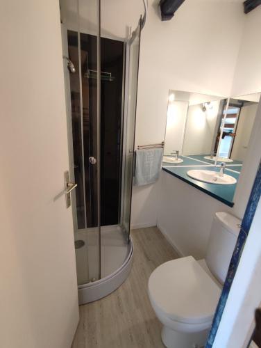 une salle de bain avec une douche, des toilettes et un lavabo dans l'établissement AZUR ET SOLEIL Jolie Maisonnette climatisée proche de la mer Richelieu Cap d'Agde, au Cap d'Agde