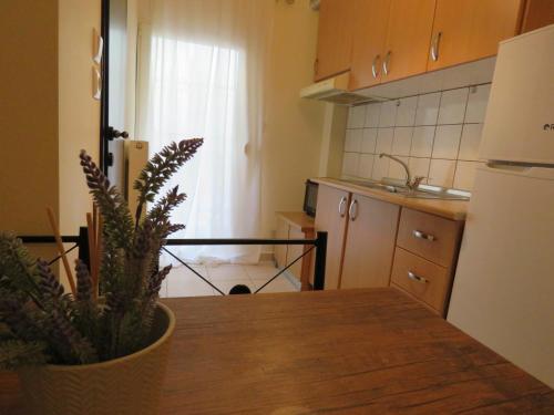 kuchnia ze stołem z rośliną w obiekcie Iasonas - 2BR Apartment - Explore Center by foot - Close to Aristotelous square w Salonikach