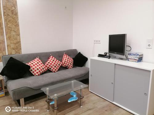 a living room with a gray couch with red and white pillows at Naturfunken in Rauchwart im Burgenland