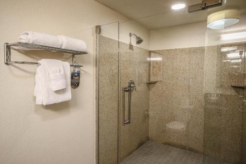 a bathroom with a shower and a glass shower stall at Holiday Inn Austin Midtown, an IHG Hotel in Austin