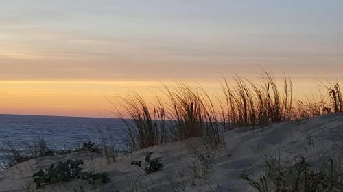widok na ocean z plaży o zachodzie słońca w obiekcie Guesthouse Évasion w mieście Contis-les-Bains