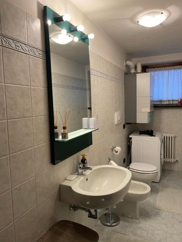 アウロンツォ・ディ・カドーレにあるRosadira Vista Lago sulle Dolomitiのバスルーム(洗面台、トイレ、鏡付)