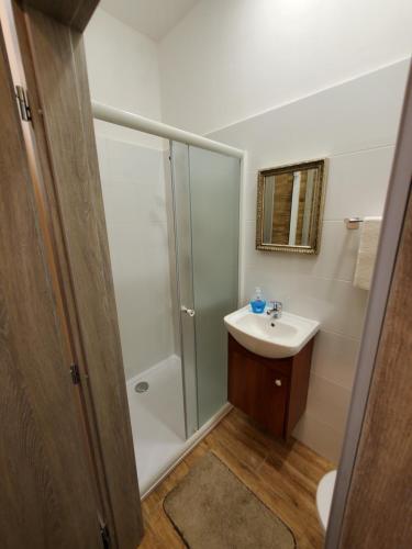 a bathroom with a shower and a sink at Hotel Koruna penzion in Teplice nad Metují