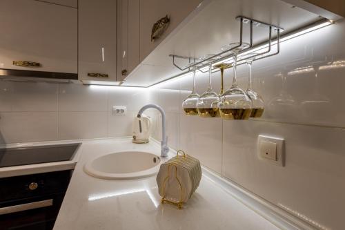 una cucina con lavandino e servizi igienici di Apartman Živković a Kraljevo