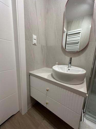 a bathroom with a sink and a mirror on a counter at MISVEST Tomasz Klimatyzacja in Zabrze