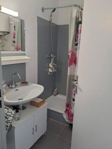 une salle de bain avec un lavabo et un rideau de douche dans l'établissement Coquet T2, Vue sur mer, à Saint Pierre La Mer