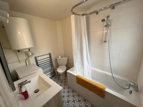 a bathroom with a sink and a shower and a toilet at Le Voltaire in Melun