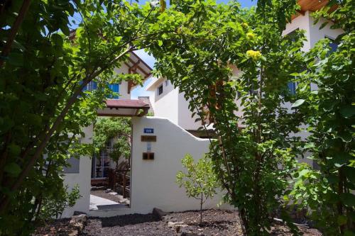 eine Außenansicht des Hauses durch die Bäume in der Unterkunft Galapagos studio Encantadas Sea in Bellavista