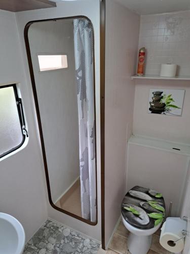 a small bathroom with a shower and a toilet at An der Eiche in Wilhelmsburg