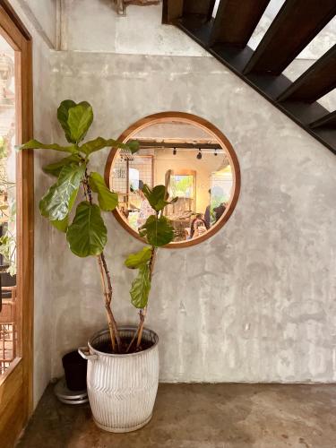 a plant in a pot in front of a mirror at GalileOasis Boutique Hotel in Bangkok