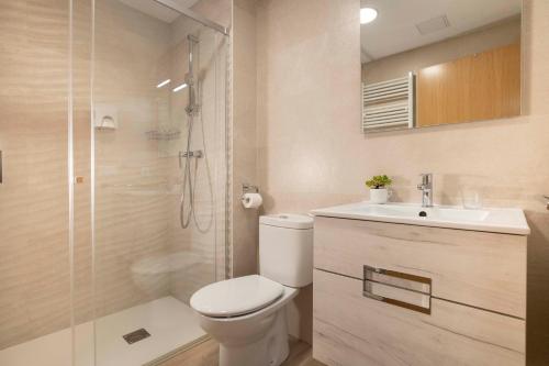 a bathroom with a toilet and a shower and a sink at Apartamentos Terraza Ega in Estella