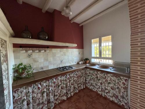 a kitchen with red walls and a counter top at CORTIJO RURAL FLOR DE CAZALLA in Cazalla de la Sierra