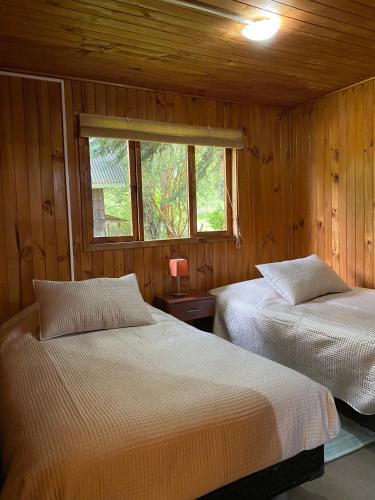 two beds in a wooden room with a window at Bosque Patagonico Cabañas y Camping in Hornopiren