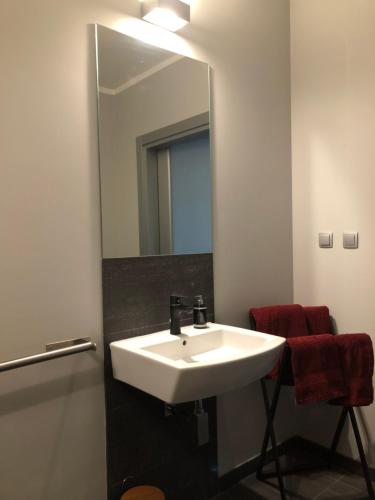 W łazience znajduje się biała umywalka i lustro. w obiekcie Apartament Rezydencja Przy Młynie w mieście Gorzów Wielkopolski