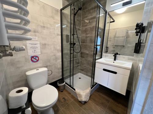 W łazience znajduje się prysznic, toaleta i umywalka. w obiekcie Pod Gromadzyniem Resort w mieście Ustrzyki Dolne