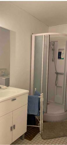 La salle de bains est pourvue d'une douche et d'une chaise bleue. dans l'établissement Joli studio centre-ville Vendôme, à Vendôme