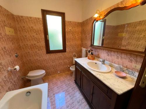 a bathroom with a sink and a toilet and a mirror at Villa Mariaurelia in Sanalvò