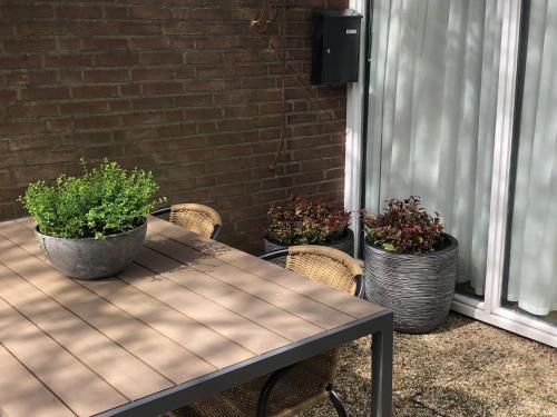 a table with two potted plants on a patio at Enjoy Heuvelland in Simpelveld