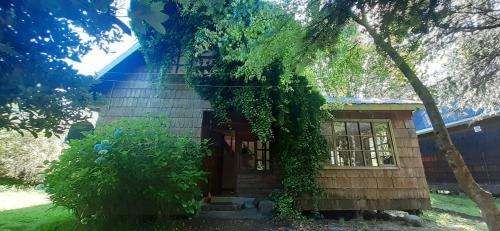a small house with a tree in front of it at Bosque Patagonico Cabañas y Camping in Hornopiren