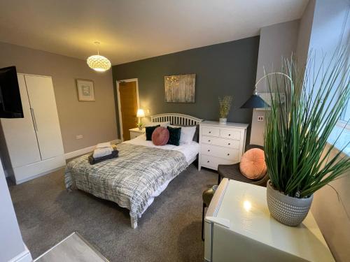 een slaapkamer met een bed en een potplant bij Lovely 1 bed Studio Apartment 