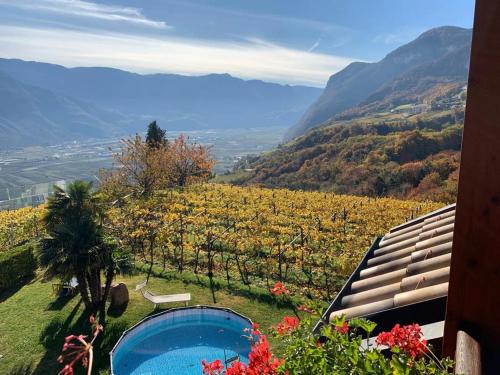 een uitzicht op een wijngaard vanuit een huis met een zwembad bij Santlhof-Chardonnay in Cortaccia