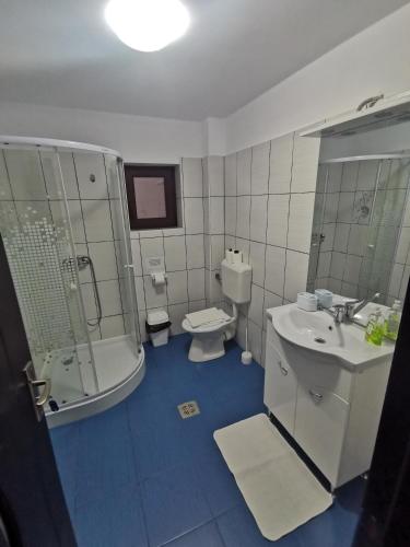 a bathroom with a toilet and a sink and a shower at Cabana Ciresarii in Sohodol