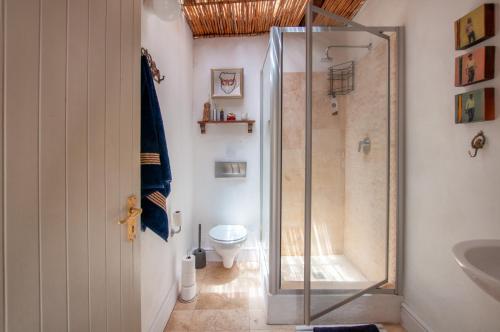 a bathroom with a shower and a toilet at Art Box in Greyton