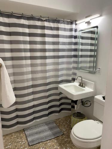 y baño con lavabo, aseo y cortina de ducha. en Adorable Studio Apartment in Gadsden, AL, en Gadsden