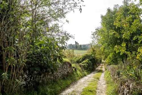 Il Loggiato di Lorenaにある庭