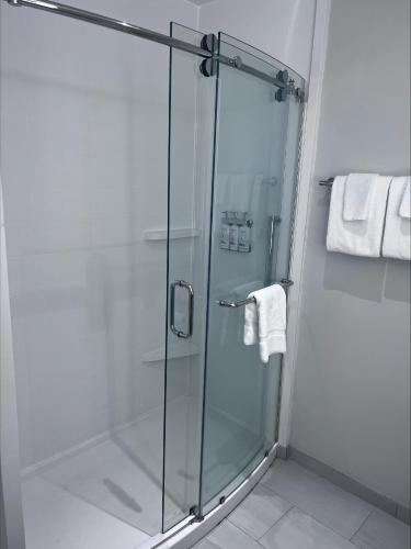 a shower with a glass door in a bathroom at Holiday Inn Express & Suites - Dahlonega - University Area by IHG in Dahlonega