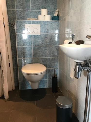 een badkamer met een toilet en een wastafel bij Bêd en Brochje de Hollen in Ryptsjerk
