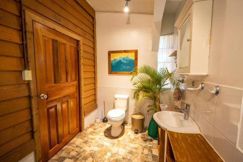 博卡斯德爾托羅的住宿－PirateArts Experience Resort，一间带卫生间和水槽的浴室