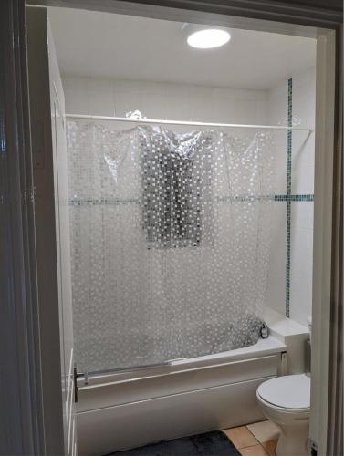 a bathroom with a shower with a toilet at Ballentree Stay in Dublin