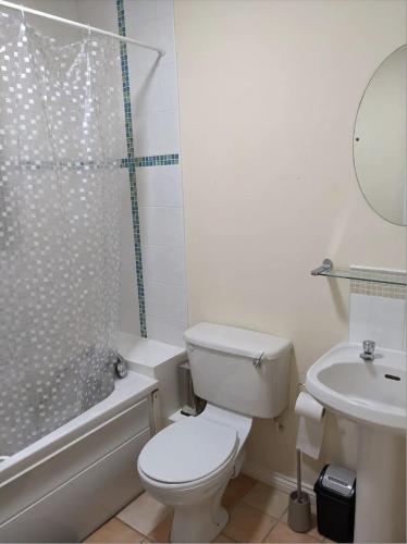 a bathroom with a toilet and a shower and a sink at Ballentree Stay in Dublin