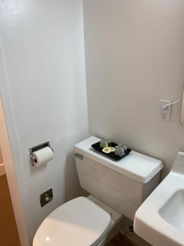 ein Badezimmer mit einem weißen WC und einem Waschbecken in der Unterkunft Quaint studio apartment in Gadsden, Al in Gadsden