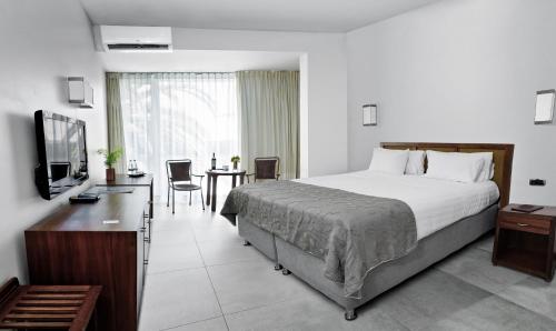 Pokój hotelowy z dużym łóżkiem i biurkiem w obiekcie Hotel Boutique Raíces w mieście Curicó
